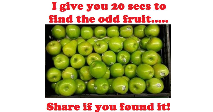 find-the-odd-fruit-in-20-secs
